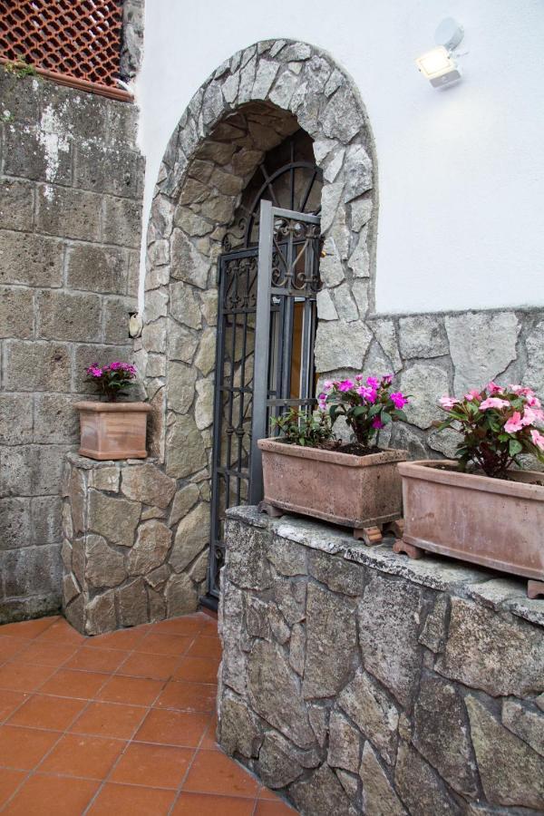 Shanti - Restaurant Di Aversano Salvatore * Sorrente